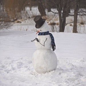 sneeuwpop